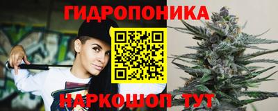 молекула духа Ачхой-Мартан