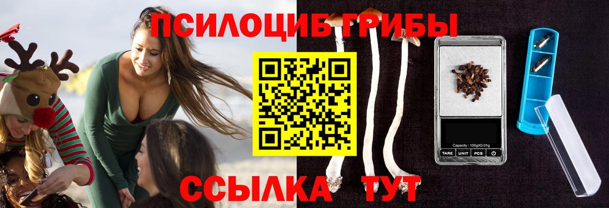 Псилоцибиновые грибы Cubensis  Вход с VPN  Великие Луки 