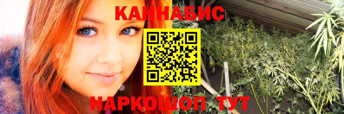 Конопля White Widow  Каннабис гибрид  Великие Луки  Вход с VPN  Шишки марихуана тримм 