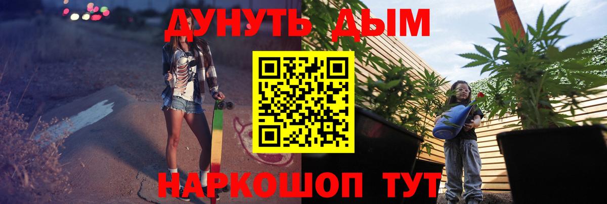Бошки Шишки семена Великие Луки